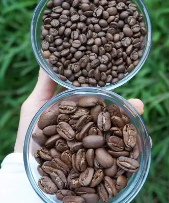 On Growth podcast: How Big Island Coffee Roasters Took Their Business Online & Collected Over 18,000 Leads