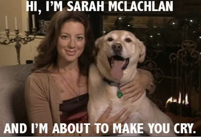 sarahmclachlan